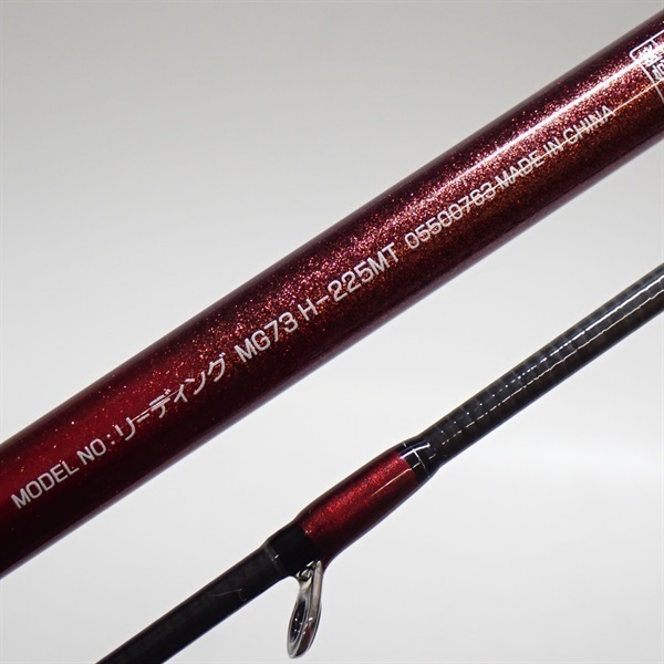 ２２リーディングマルチゲーム